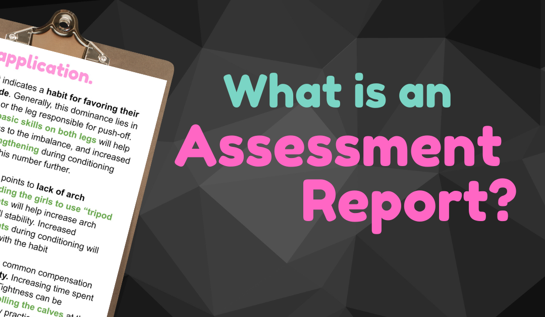 What’s the Big Deal with Assessment Reports?